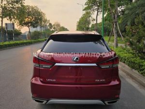 Xe Lexus RX 300 2022