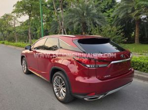 Xe Lexus RX 300 2022