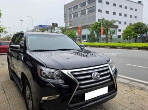 Xe Lexus GX 460 2010