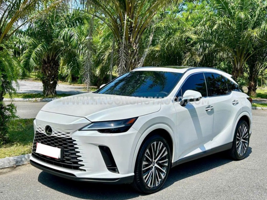 Lexus RX 350 Premium