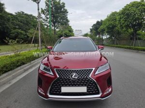Xe Lexus RX 300 2022