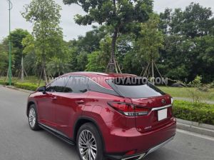 Xe Lexus RX 300 2022