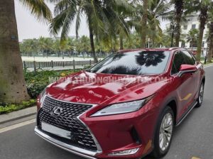 Xe Lexus RX 300 2022