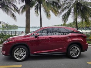Xe Lexus RX 300 2022