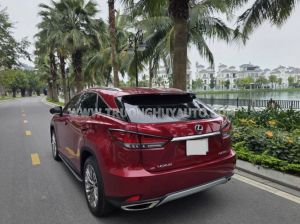 Xe Lexus RX 300 2022