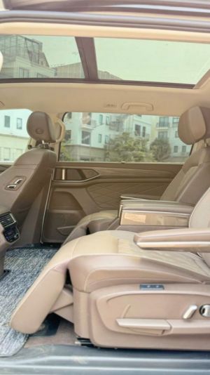 Xe Volkswagen Viloran Luxury 2024