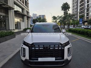 Xe Hyundai Palisade Prestige 2.2 AT HTRAC 2024