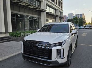 Xe Hyundai Palisade Prestige 2.2 AT HTRAC 2024
