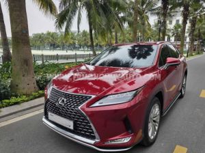 Xe Lexus RX 300 2022