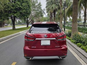 Xe Lexus RX 300 2022