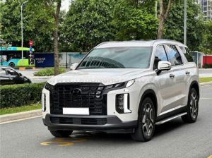 Xe Hyundai Palisade Prestige 2.2 AT HTRAC 2025