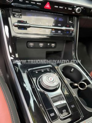 Xe Kia Carnival Signature 2.2D 2022