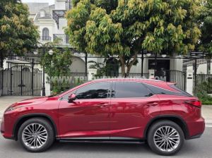 Xe Lexus RX 350 2019
