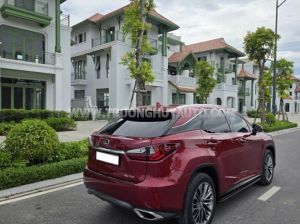 Xe Lexus RX 350 2019