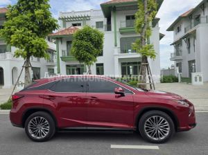 Xe Lexus RX 350 2019