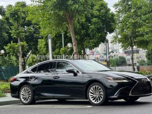 Xe Lexus ES 250 2019