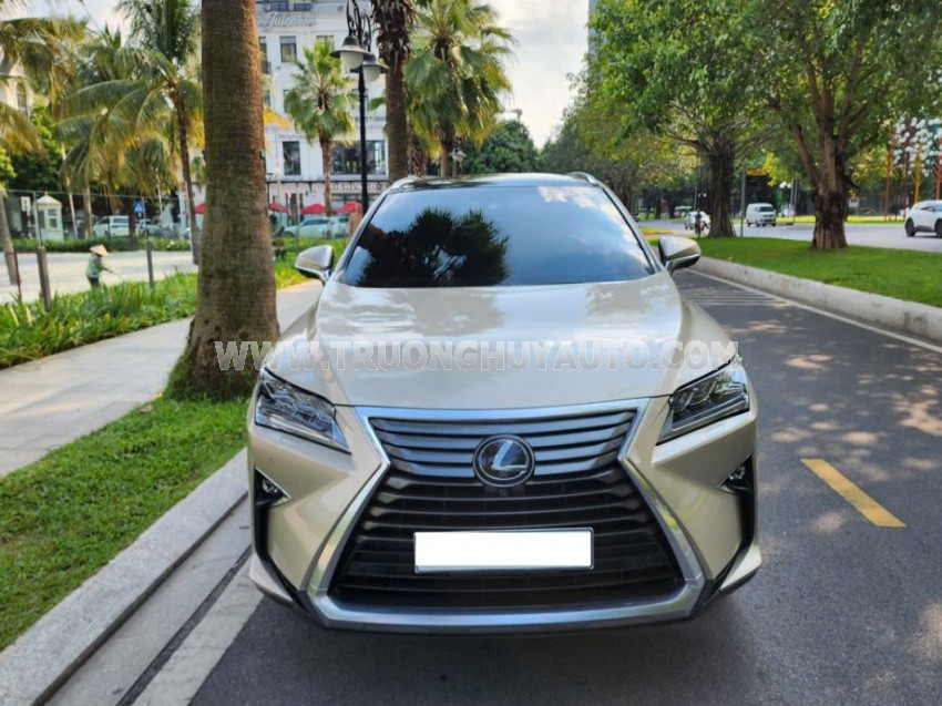 Xe Lexus RX 350 2019
