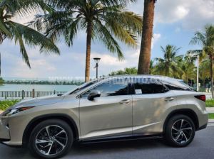 Xe Lexus RX 350 2019