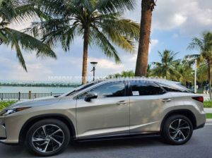 Xe Lexus RX 350 2019